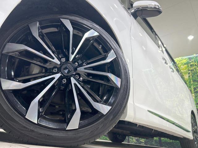 24441283_carP_l_8.jpg