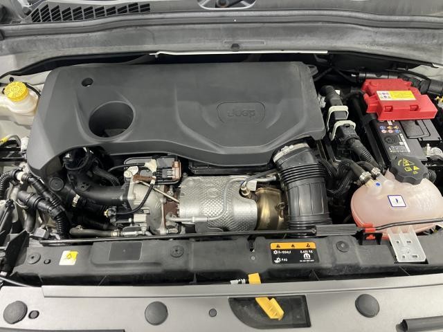 27032617_carP_l_17.jpg