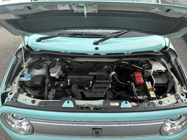 27052144_carP_l_20.jpg