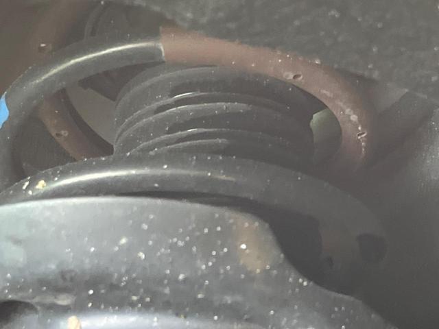 24807838_carP_l_20.jpg