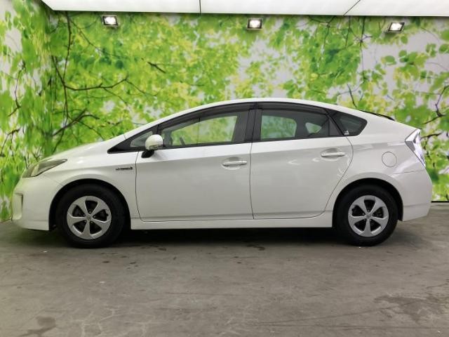 25898961_carP_l_3.jpg