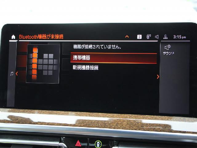 24079200_carP_l_19.jpg