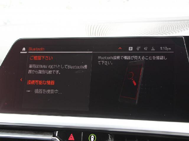 24079201_carP_l_10.jpg