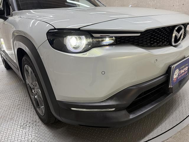 25378731_carP_l_3.jpg
