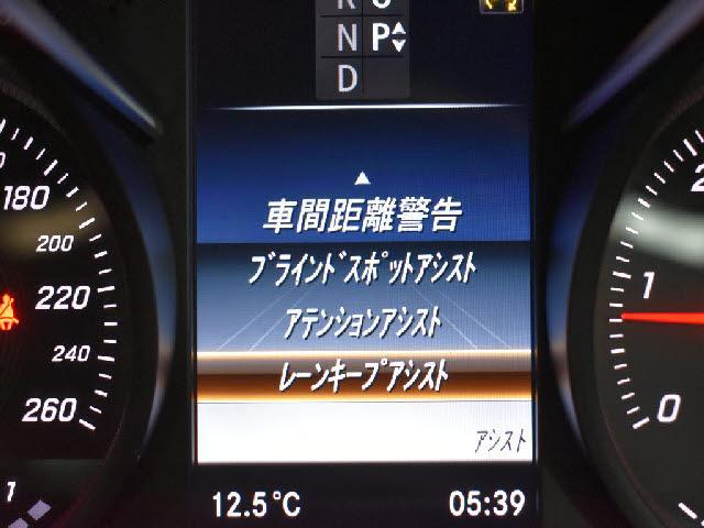24079205_carP_l_13.jpg