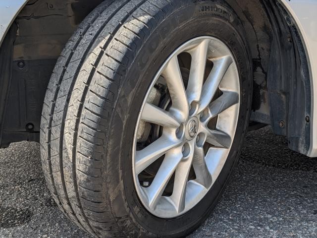26667572_carP_l_19.jpg
