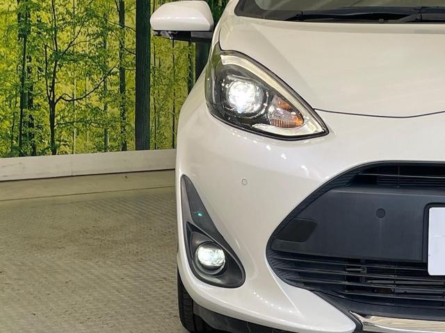 25754276_carP_l_6.jpg