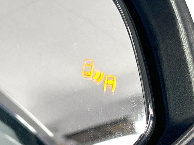 26426750_carP_l_10.jpg