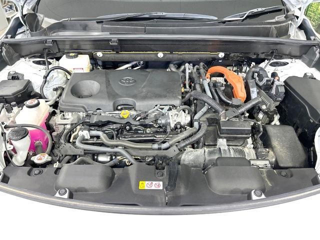 26426750_carP_l_18.jpg