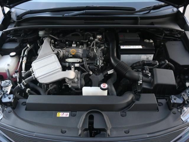 25184822_carP_l_17.jpg