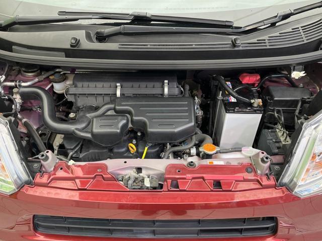 24500969_carP_l_16.jpg
