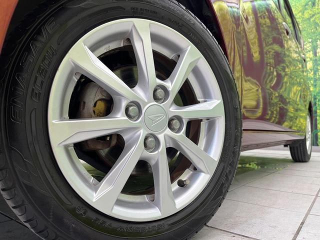 24500969_carP_l_7.jpg