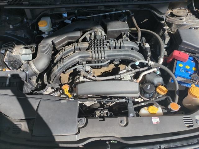 26988456_carP_l_17.jpg