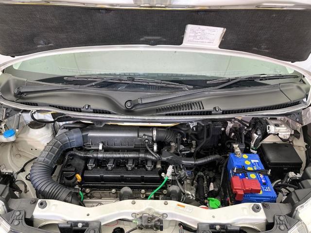 25096497_carP_l_16.jpg