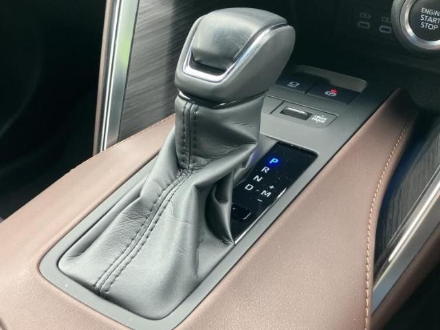 25090640_carP_l_12.jpg