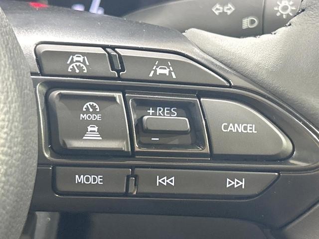 26023218_carP_l_10.jpg