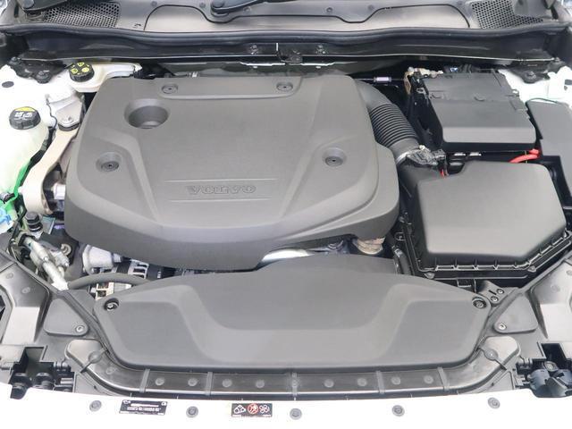 24380379_carP_l_9.jpg