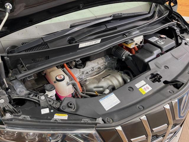 24380447_carP_l_20.jpg