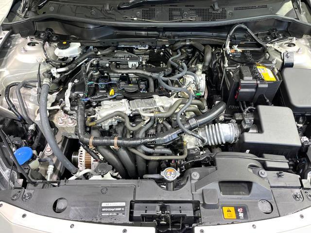25036029_carP_l_16.jpg