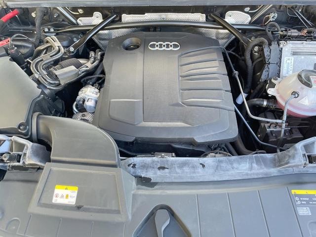 26533981_carP_l_12.jpg