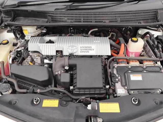 24456745_carP_l_7.jpg