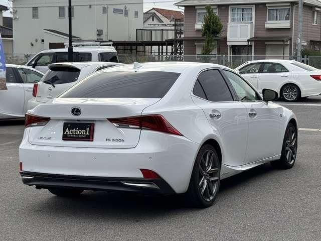 24254257_carP_l_13.jpg