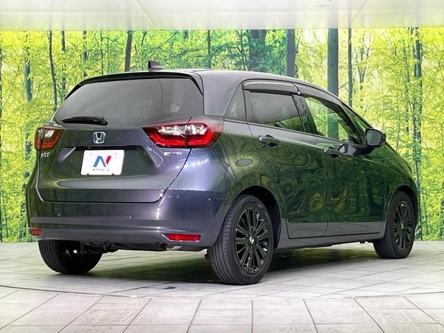 25611943_carP_l_12.jpg