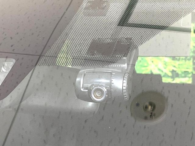 25942330_carP_l_13.jpg