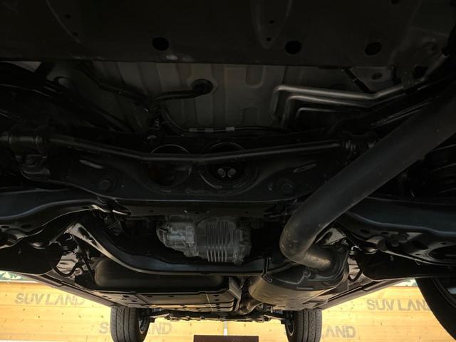 24380032_carP_l_18.jpg