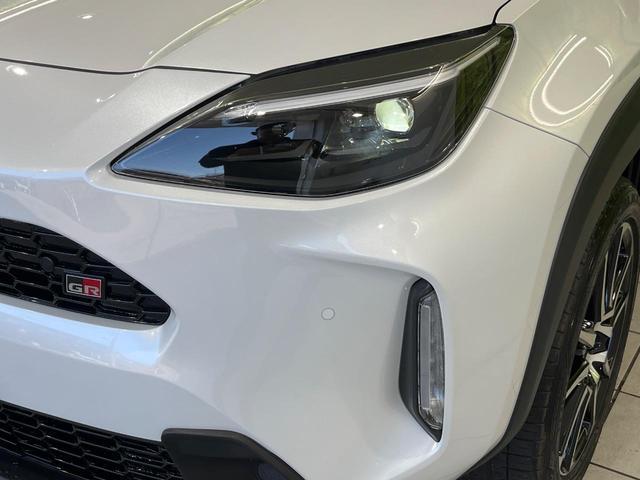 24501003_carP_l_6.jpg