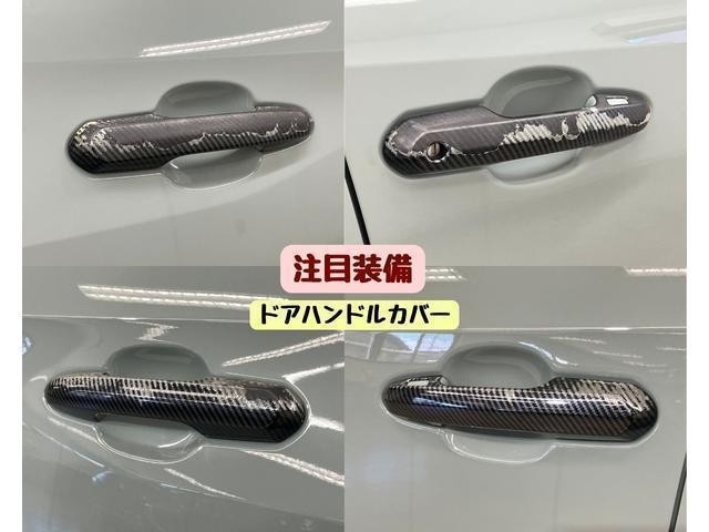 26815240_carP_l_14.jpg