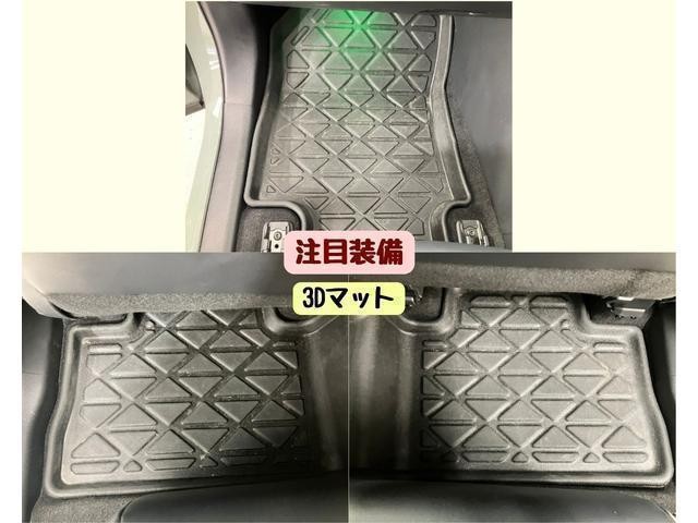 26815240_carP_l_17.jpg