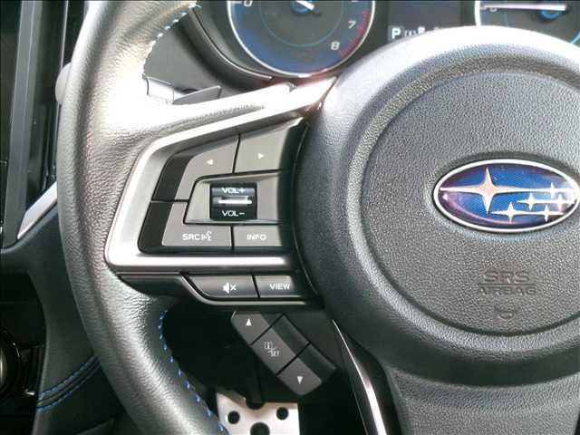 25773411_carP_l_6.jpg