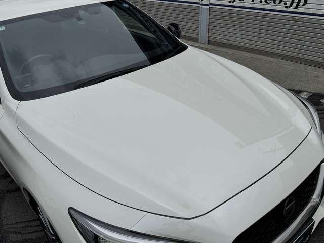 24783501_carP_l_12.jpg