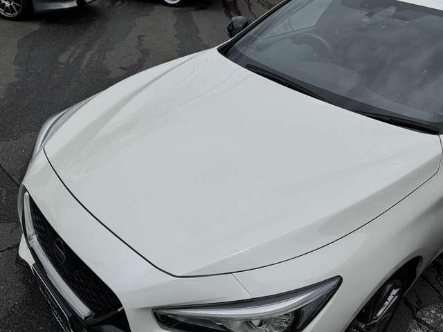 24783501_carP_l_16.jpg