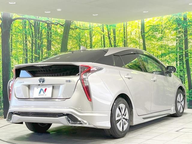 25425692_carP_l_12.jpg