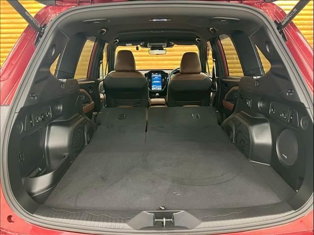 24843574_carP_l_16.jpg