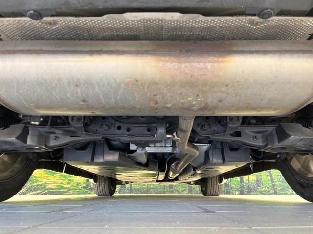 25652441_carP_l_18.jpg