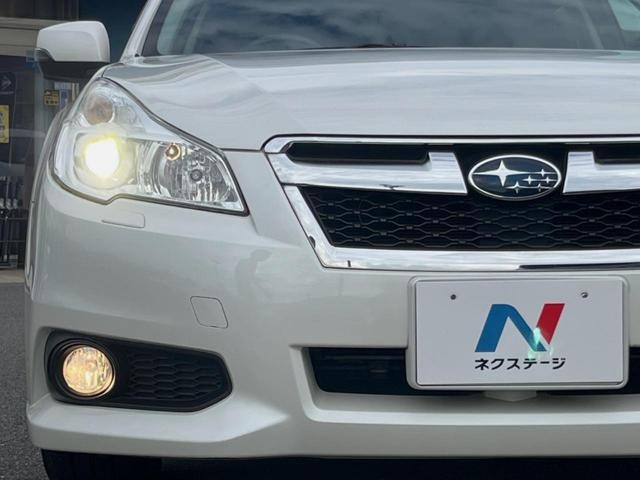 26209620_carP_l_7.jpg