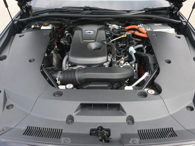 25928180_carP_l_17.jpg