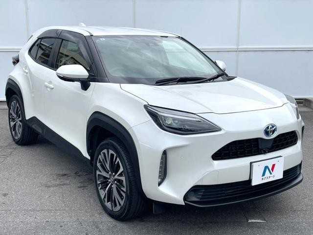 25942406_carP_l_11.jpg