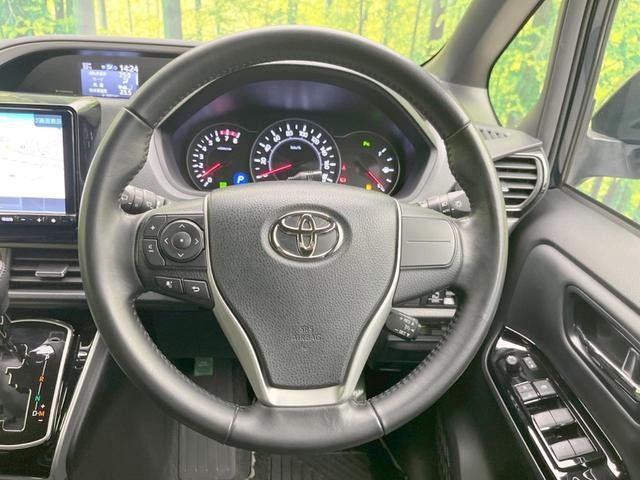 25075981_carP_l_6.jpg