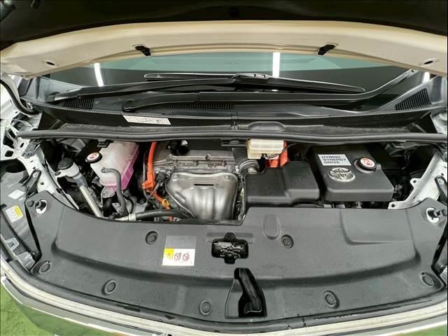 24947451_carP_l_6.jpg