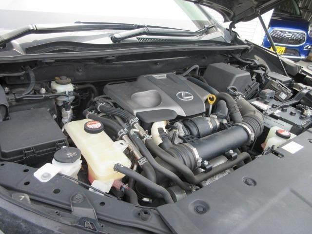 25521895_carP_l_5.jpg