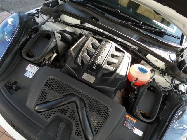 25673064_carP_l_20.jpg
