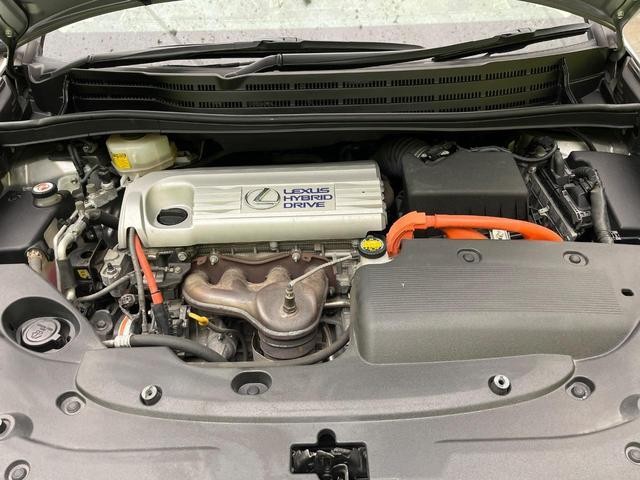 26424875_carP_l_16.jpg
