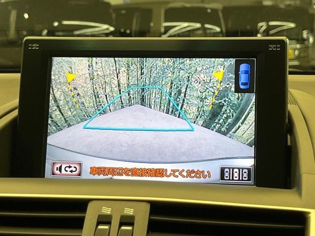 26424875_carP_l_4.jpg