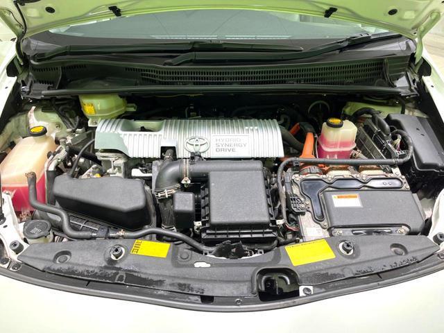 24380091_carP_l_16.jpg