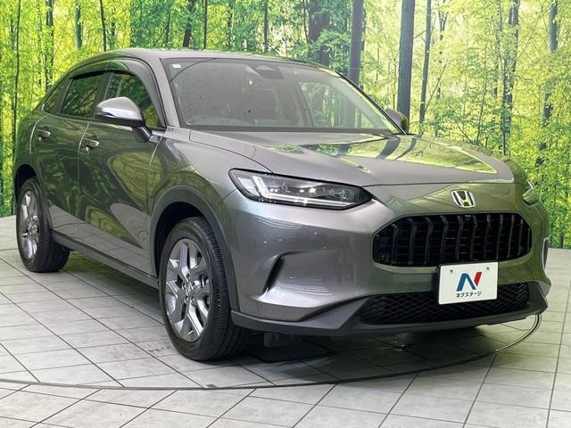 26209980_carP_l_11.jpg
