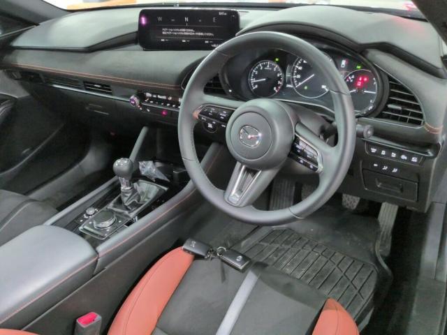 24155571_carP_l_15.jpg